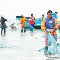 Laughing fishers