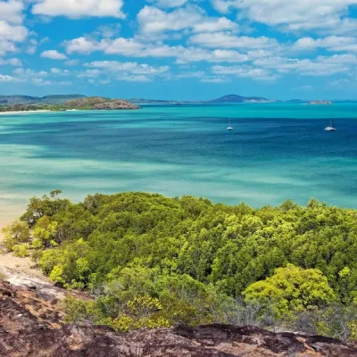 Rio Mare and WWF work together to protect mangroves